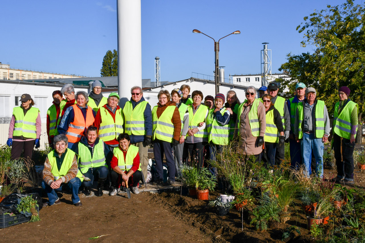2026.10.16 - Vir�gos�tj�k a k�rforgalmat Martf�n (k�pek: Pol�k Bogl�rka)