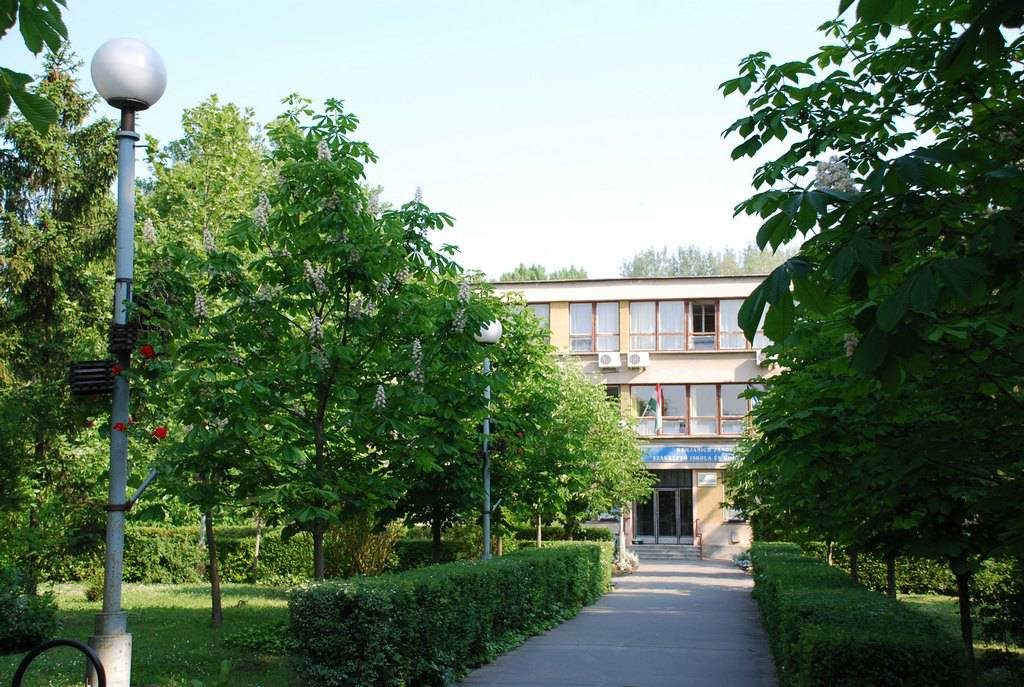 A Damjanich János középiskola épülete